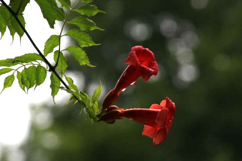 neo_img_img_4610.jpg