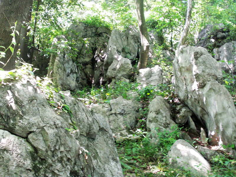 file1638.jpg