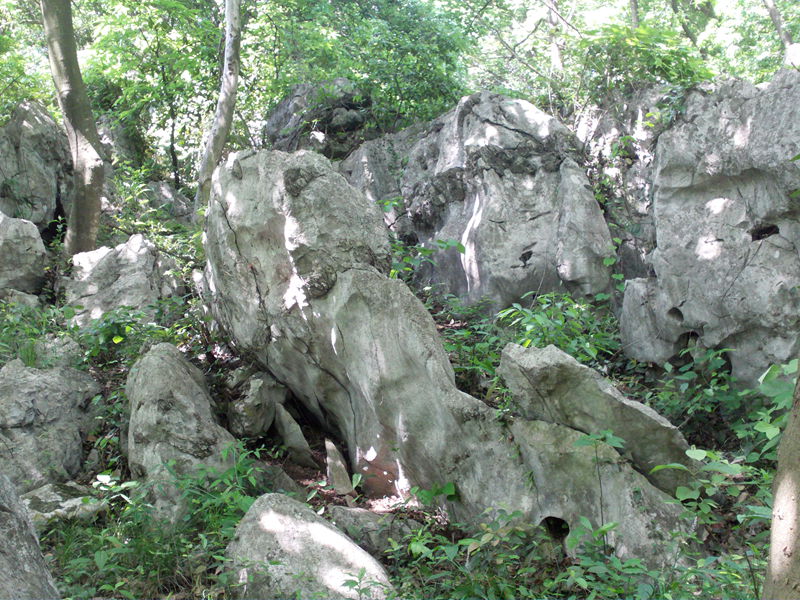 file1639.jpg