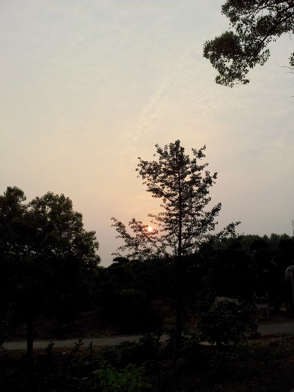 20130503_181523.jpg