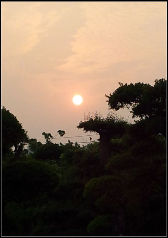 20130503_182132.jpg