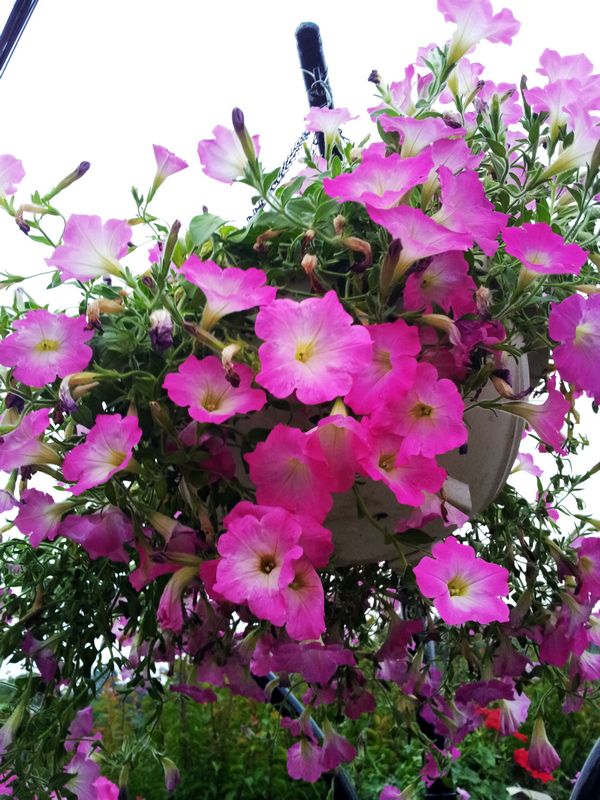 20130503_185705.jpg