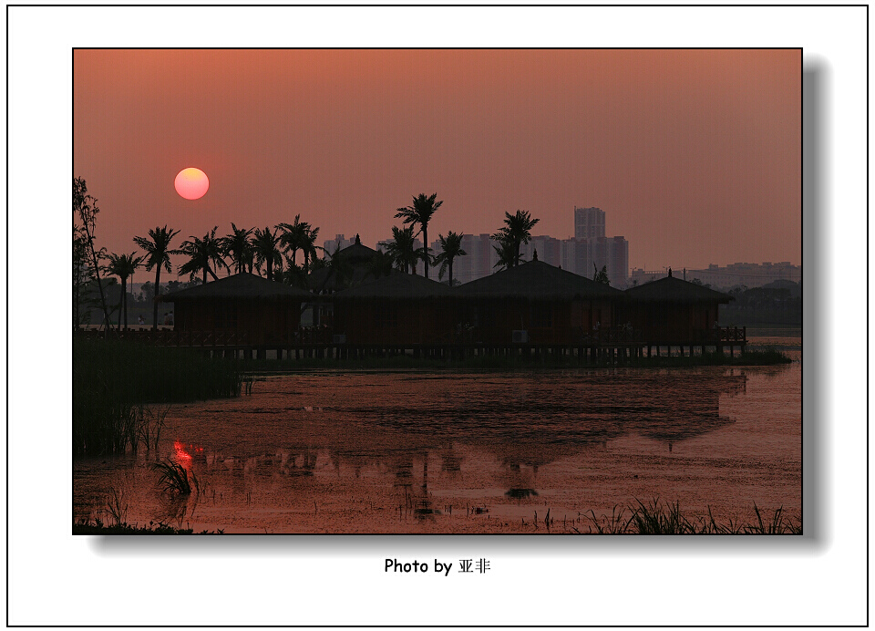 img_5806a.jpg