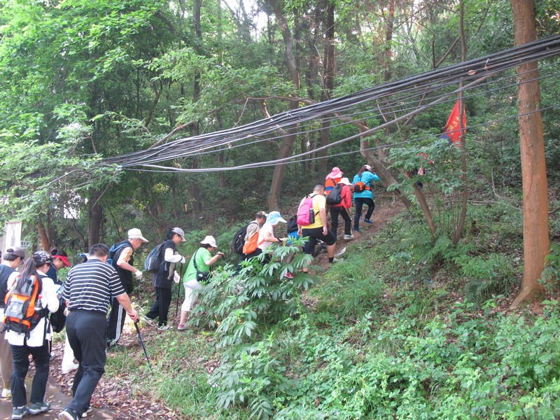 simg_8794.jpg