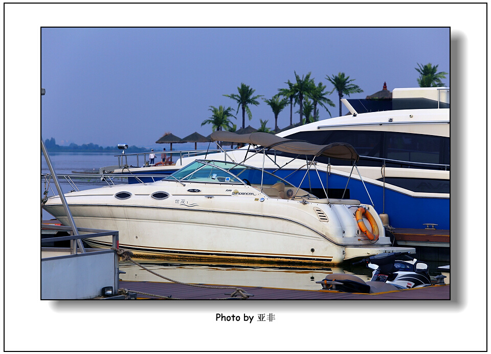 img_5745a.jpg