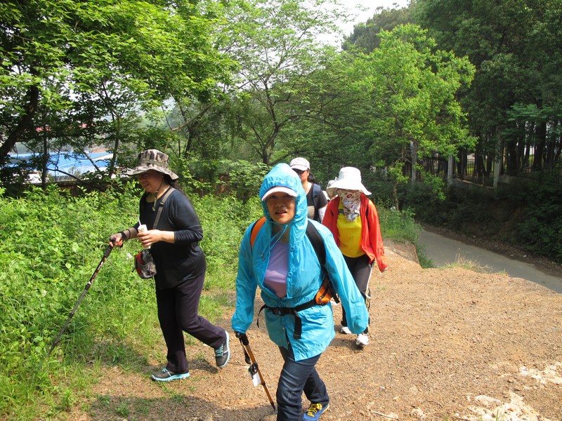 simg_8816.jpg