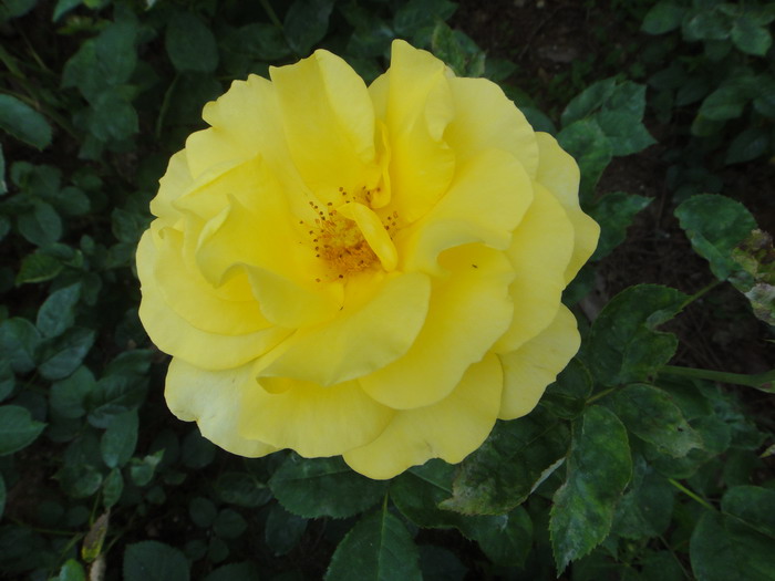 663-20.jpg