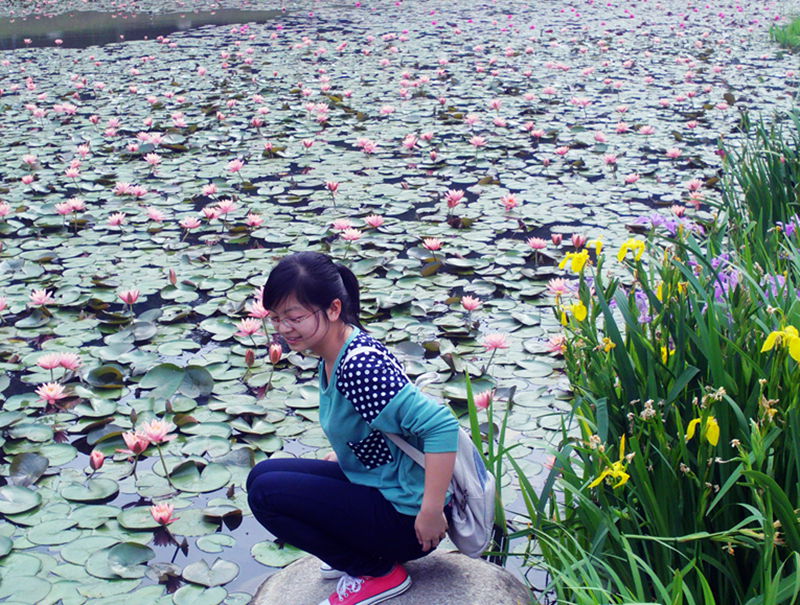 file1732.jpg
