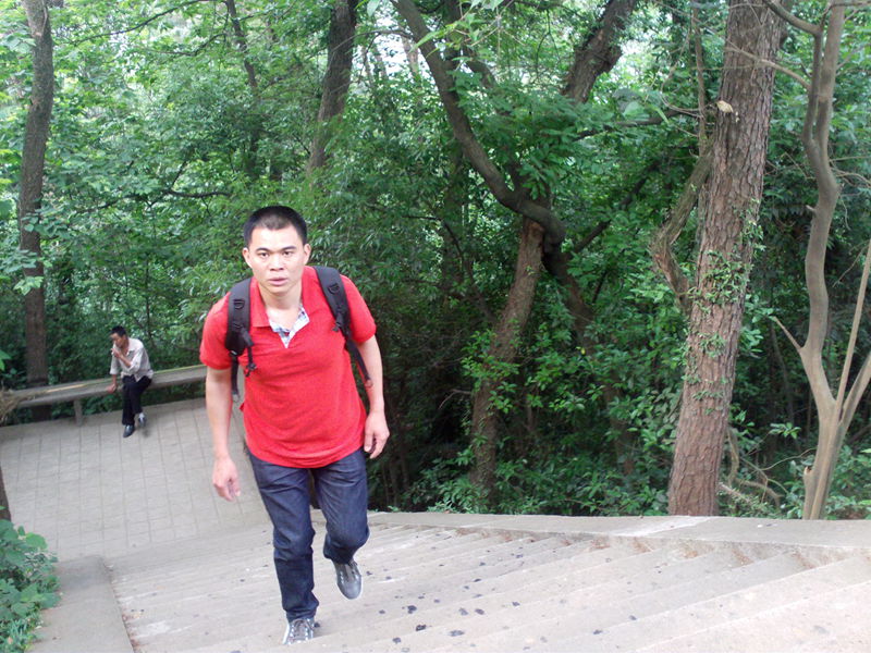 file1712.jpg