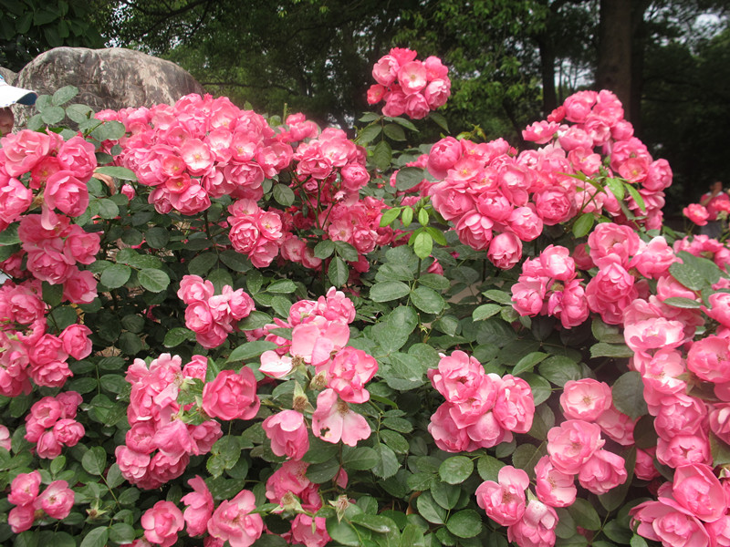 55ĥɽͽ 051.jpg