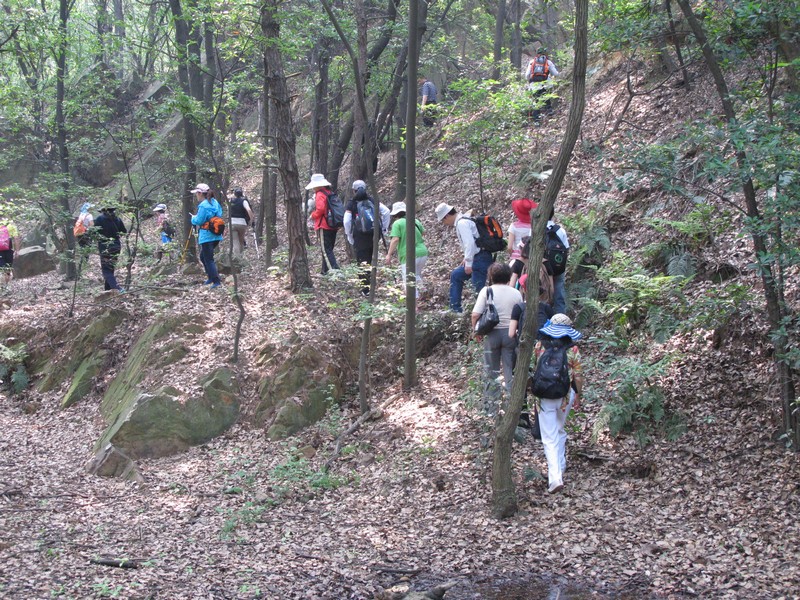 simg_8843.jpg