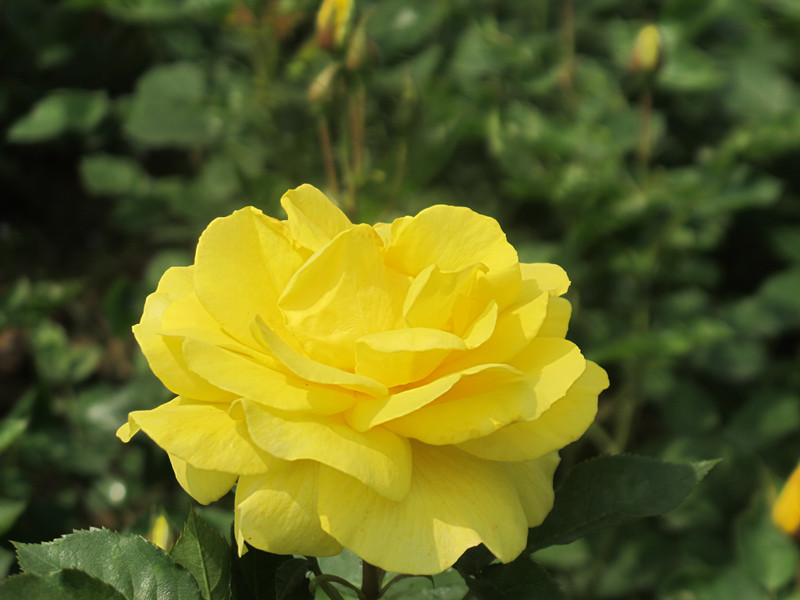 55ĥɽͽ 071.jpg