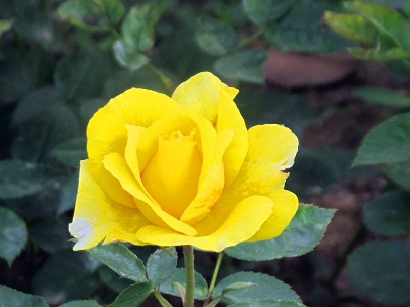55ĥɽͽ 076.jpg