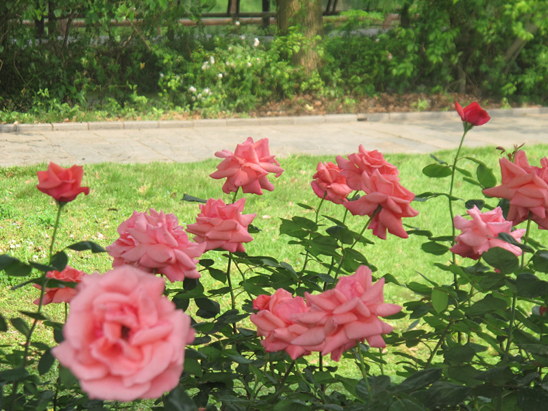 55ĥɽͽ 072.jpg