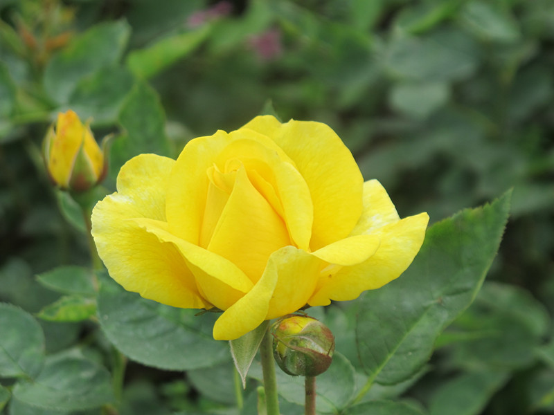 55ĥɽͽ 074.jpg