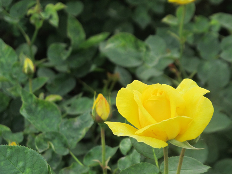 55ĥɽͽ 073.jpg