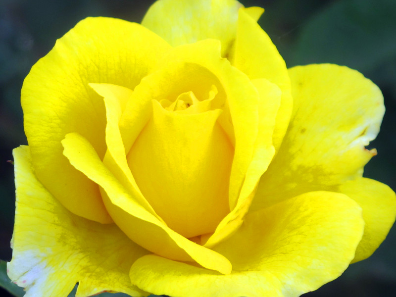 55ĥɽͽ 075.jpg