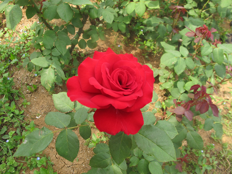 55ĥɽͽ 089.jpg
