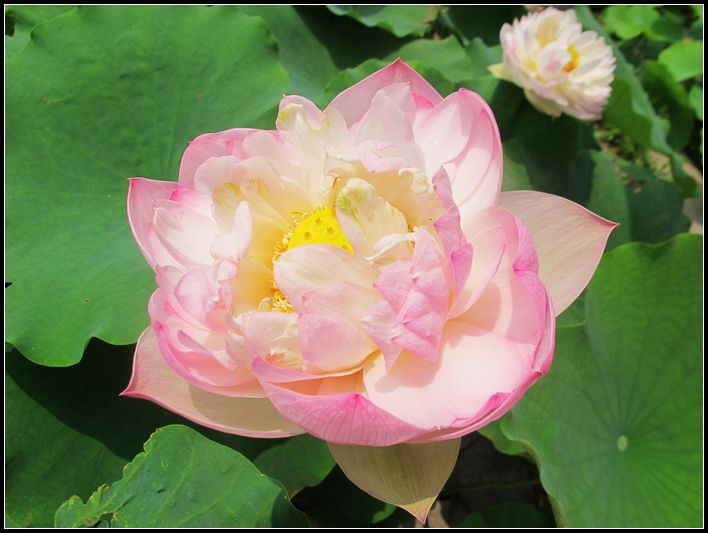 Ƭ 067.jpg