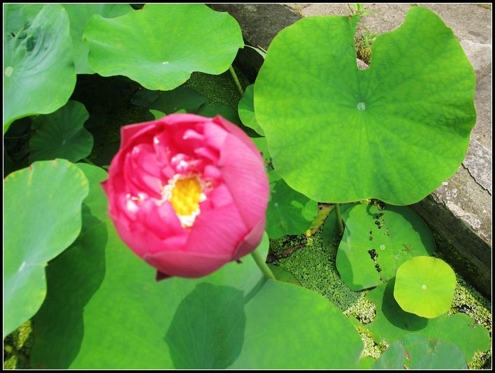 Ƭ 068.jpg