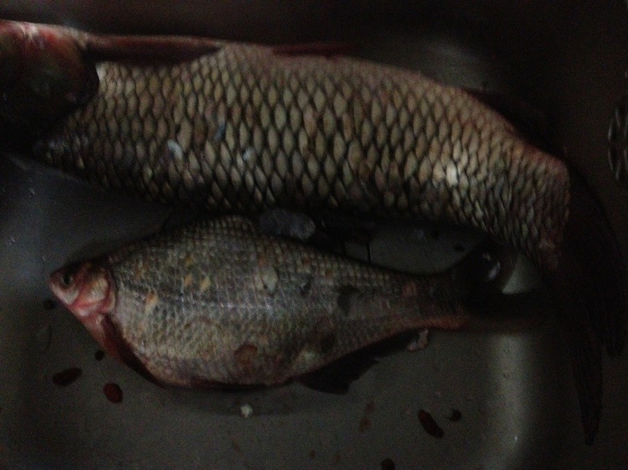 qqͼƬ20130613140012.jpg