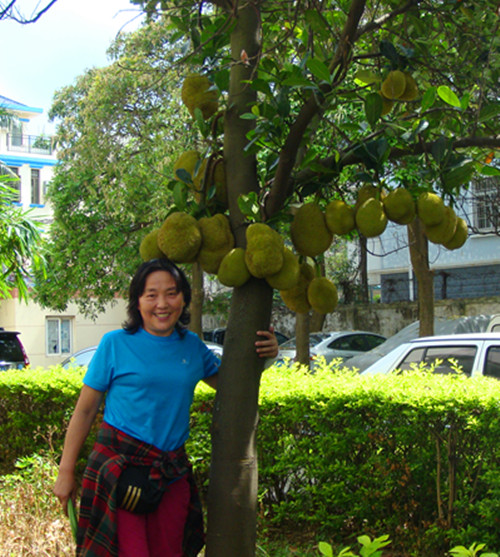 dsc00010_.jpg