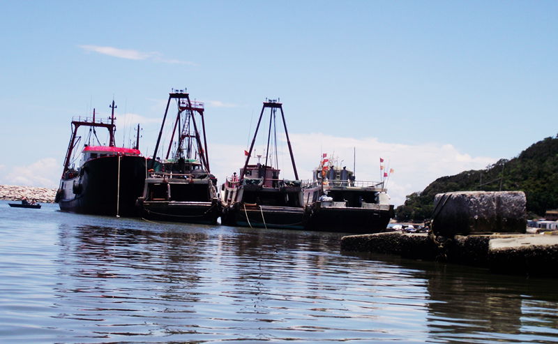 dscf8221.jpg
