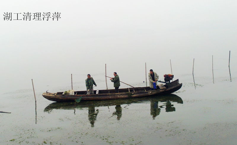 file1106.jpg
