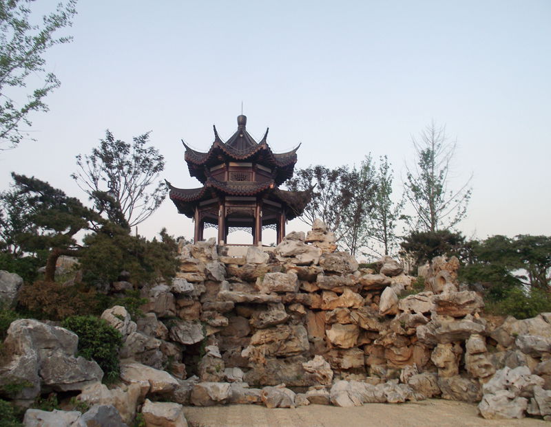 dscf8006.jpg