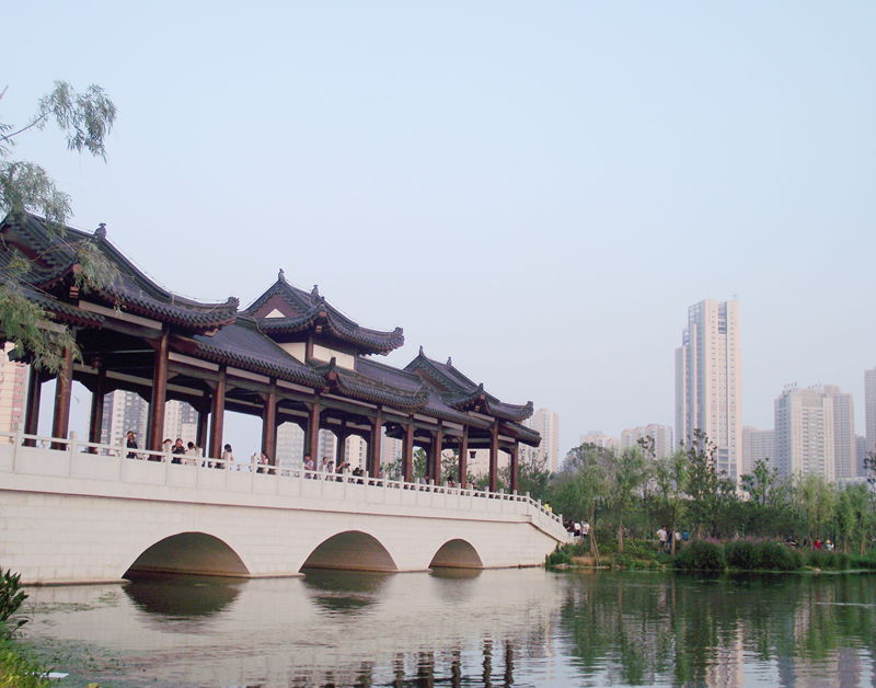 dscf8030.jpg