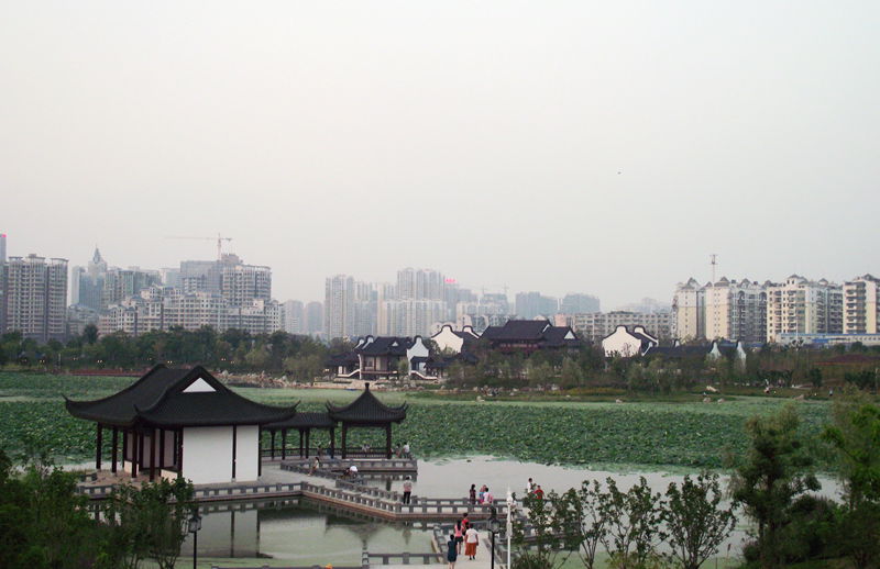 dscf8049.jpg