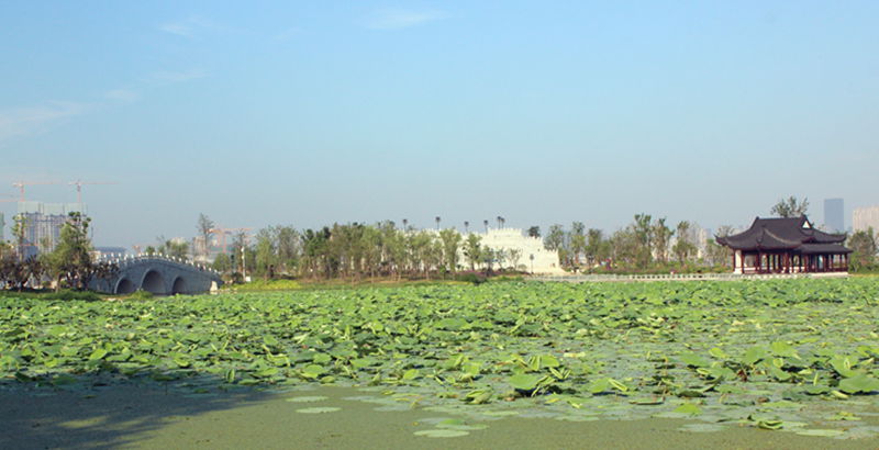 img_0979.jpg