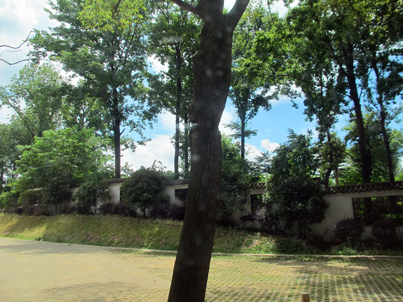 2013.6.16ĥɽͽ 132.jpg
