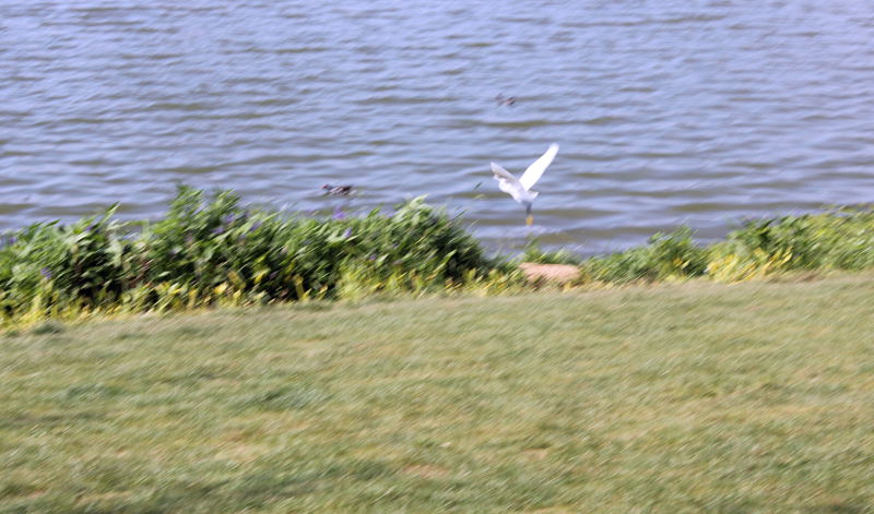 img_1186.jpg