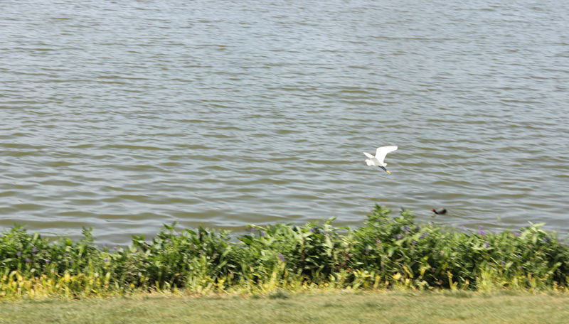 img_1187.jpg