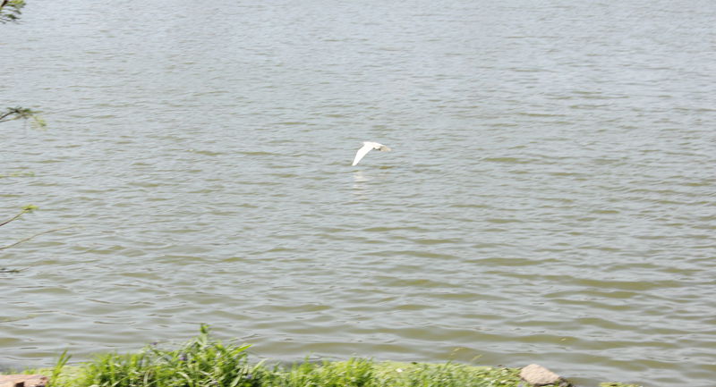 img_1189.jpg