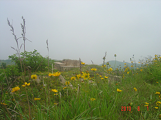 dsc09672_.jpg