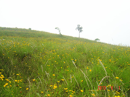 dsc09685_.jpg