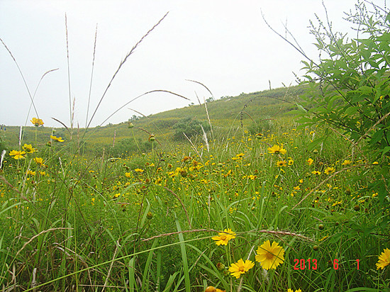 dsc09686_.jpg