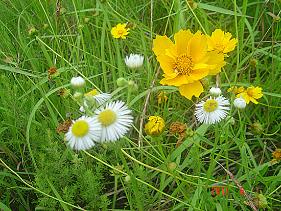 dsc09690_.jpg