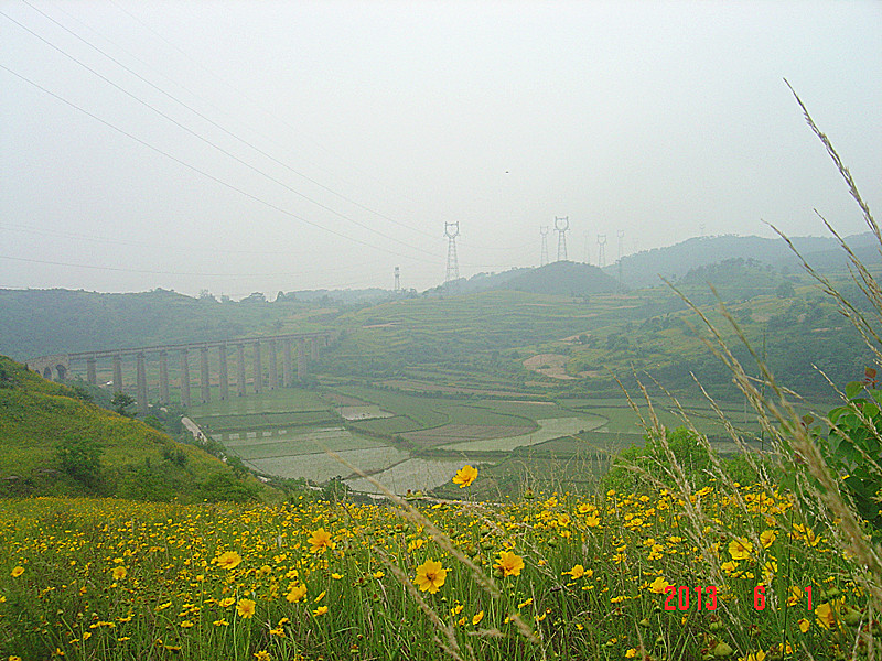 dsc09708_.jpg