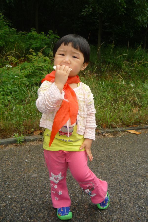 p1240845.jpg