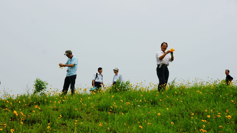 dsc09523.jpg