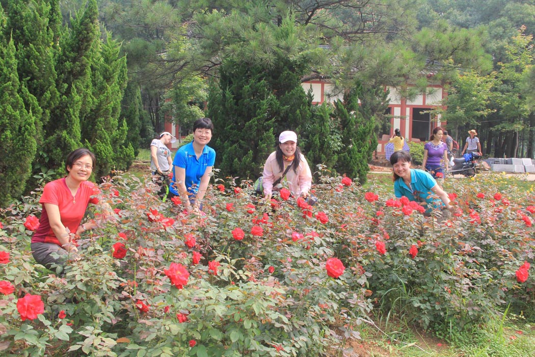 img_7567_1.jpg