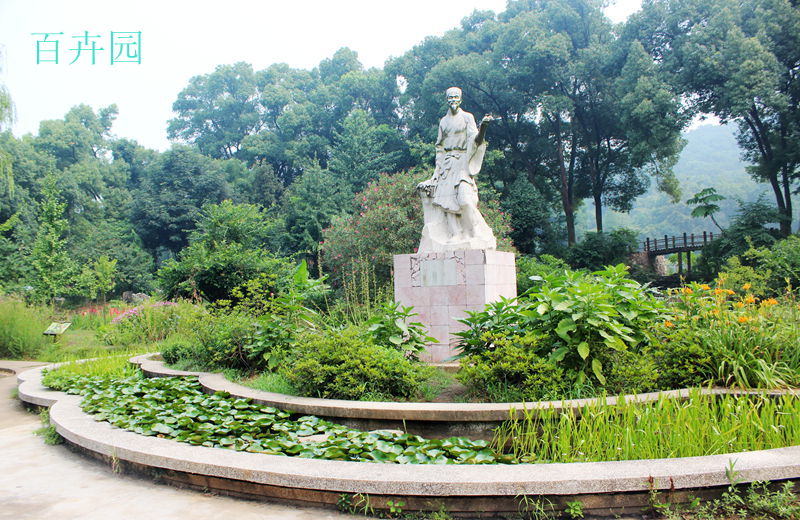 Ƭ 111.jpg