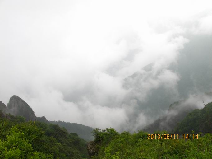img_6584.jpg