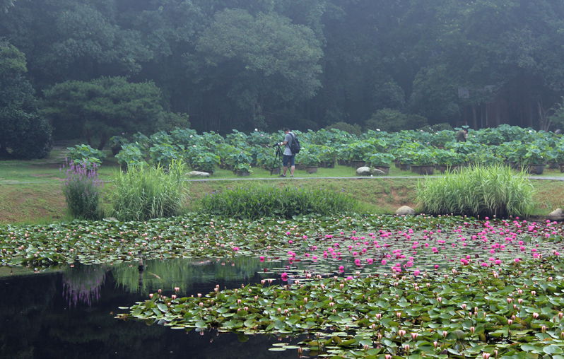 Ƭ 029.jpg
