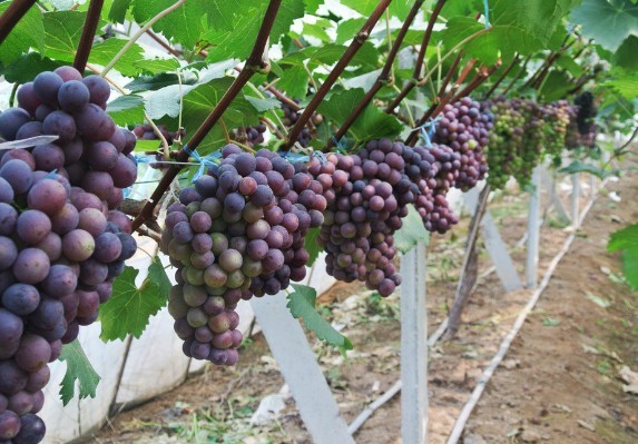 20130625230035.jpg