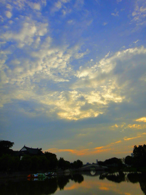 dsc00503_.jpg
