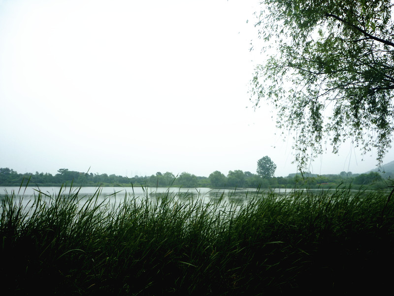 p1150252_.jpg